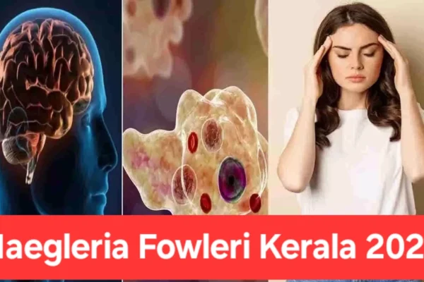 Naegleria fowleri Kerala 2025