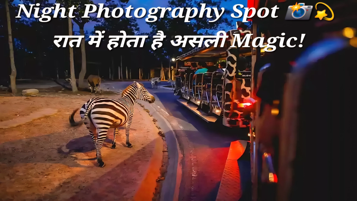 Noida Jungle Trail Park Night Safari Lights View Noida Jungle Trail Park में रात की Safari के दौरान LED लाइटिंग से जगमग करती धातु कलाकृतियाँ और फोटो क्लिक करने योग्य आकर्षक दृश्य