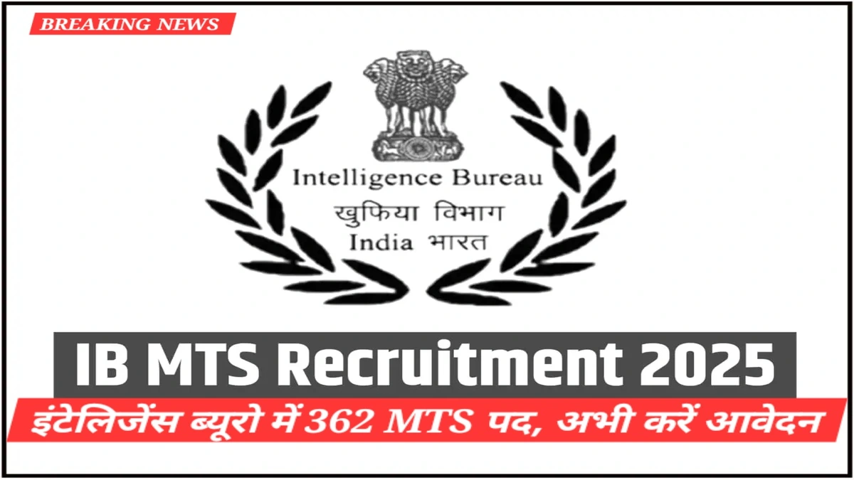 IBPS Clerk Mains 2025 एग्ज़ाम डेट 29 नवंबर 2025 की ताज़ा खबर और बैंक भर्ती से जुड़ा महत्वपूर्ण अपडेट